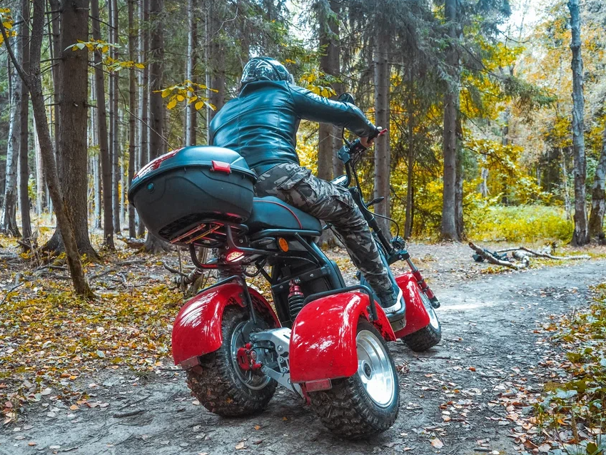 Электротрицикл White Siberia PRO Trike Ikra 5000W Red 